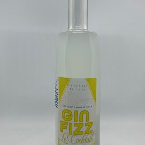 Gin-Fizz